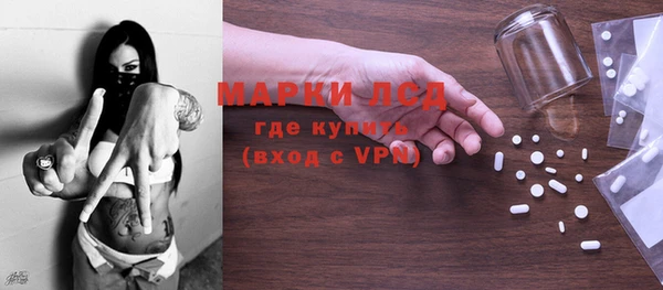 хмурый Аркадак
