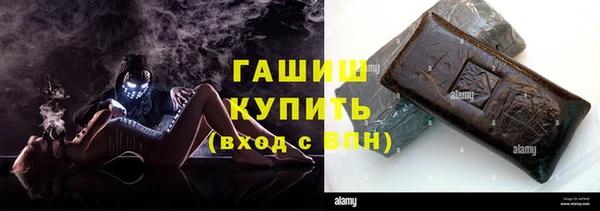 хмурый Аркадак