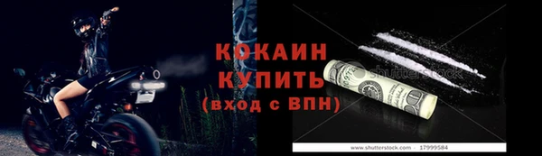 хмурый Аркадак